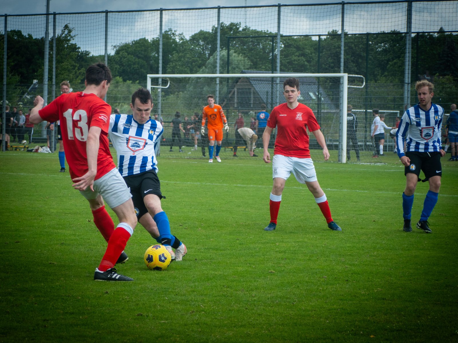 AMELISWEERD 2024-070